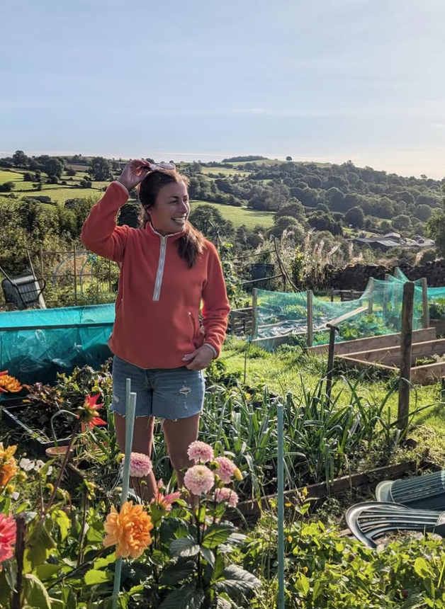 Dahlia Joy #3 | Original Painting