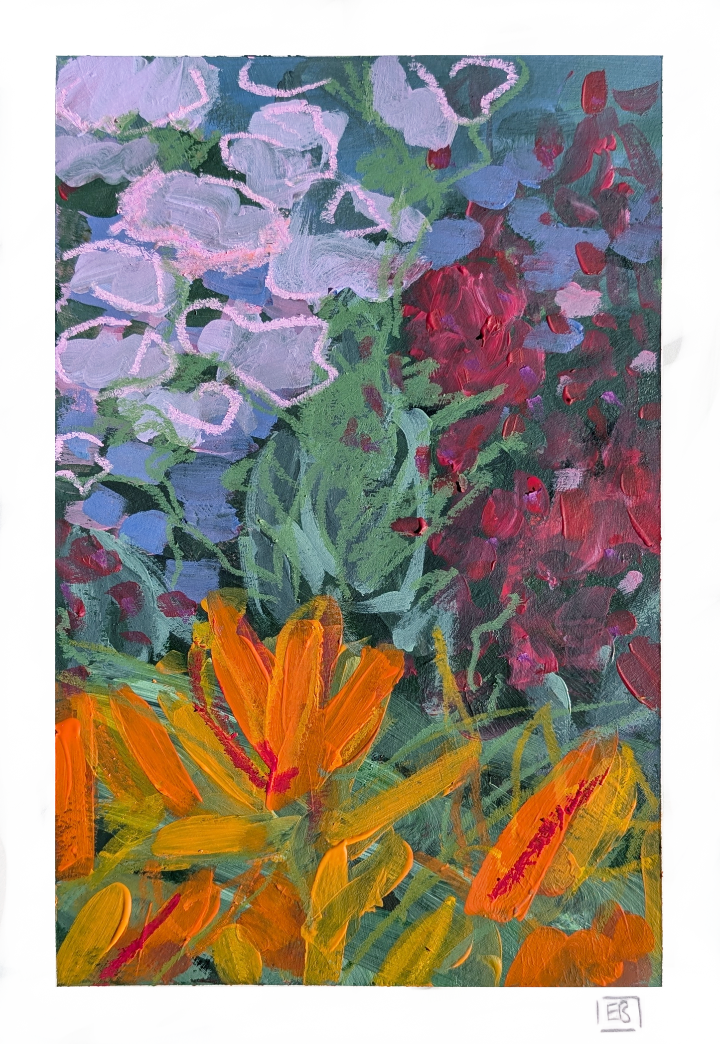 Welsh Garden #7 | Fuschia