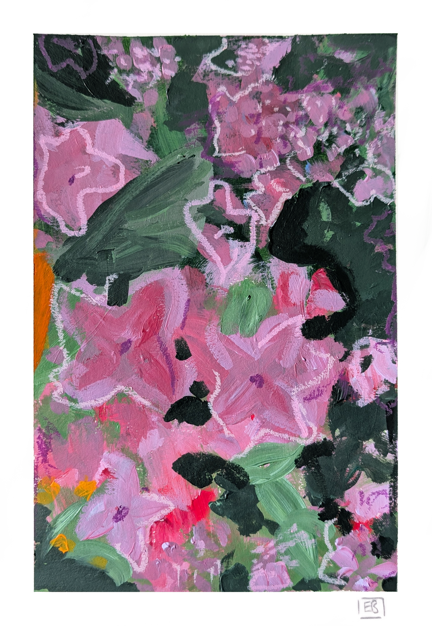 Welsh Garden #3 | Pink Hydrangea