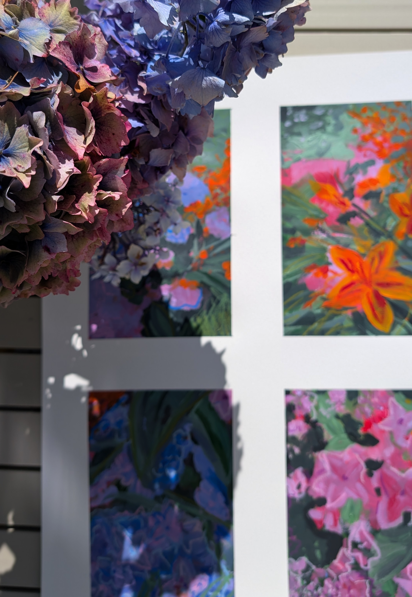 Welsh Garden #1 | Hydrangeas