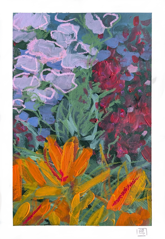 Welsh Garden #7 | Fuschia