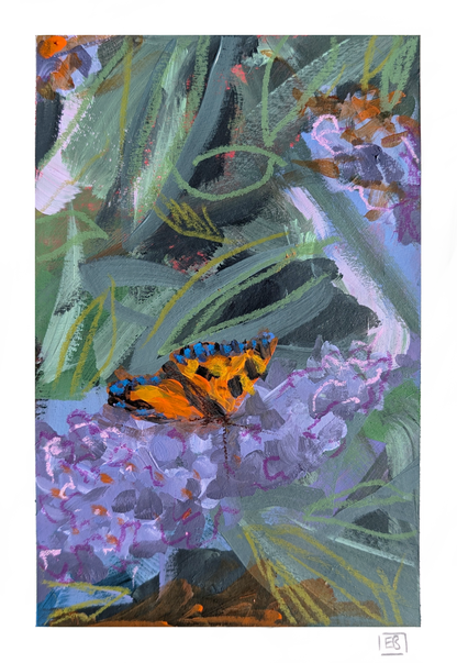 Welsh Garden #2 | Small Tortoiseshell