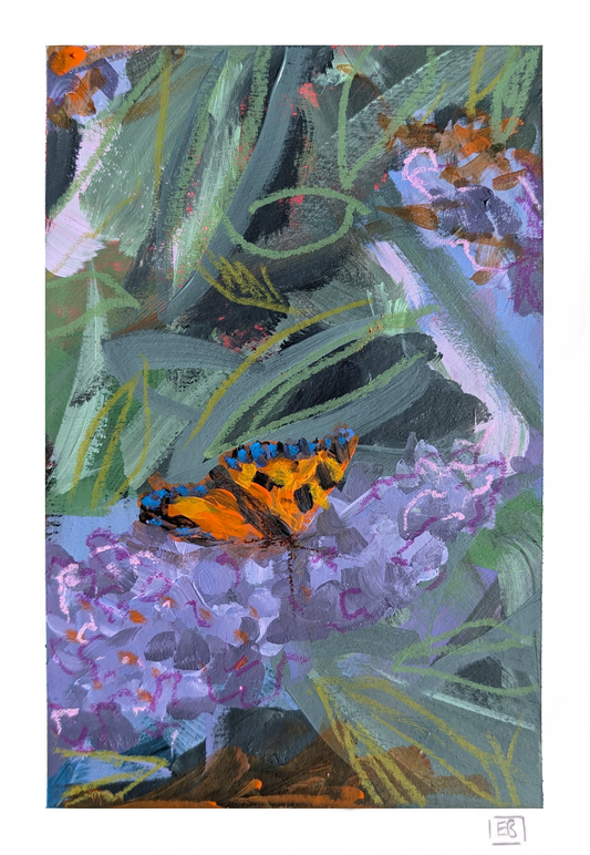 Welsh Garden #2 | Small Tortoiseshell