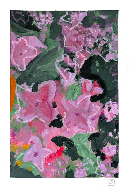 Welsh Garden #3 | Pink Hydrangea