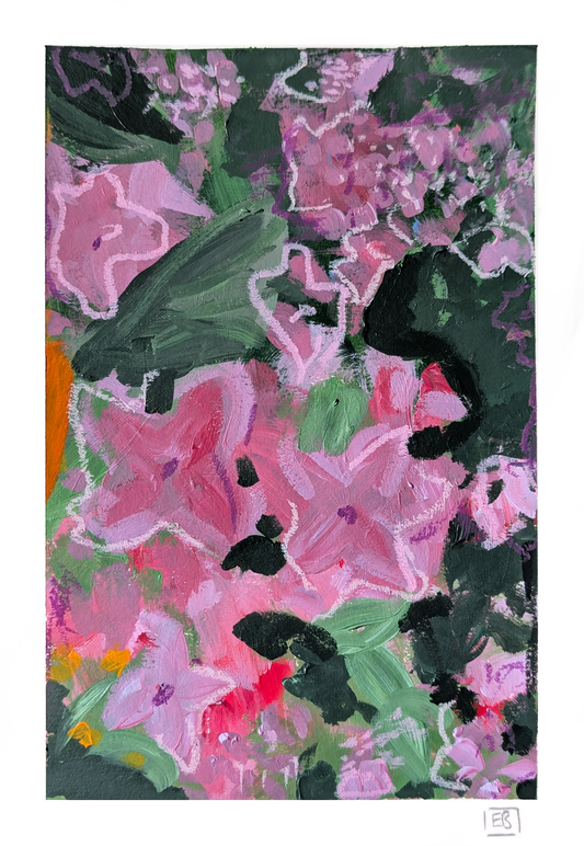 Welsh Garden #3 | Pink Hydrangea